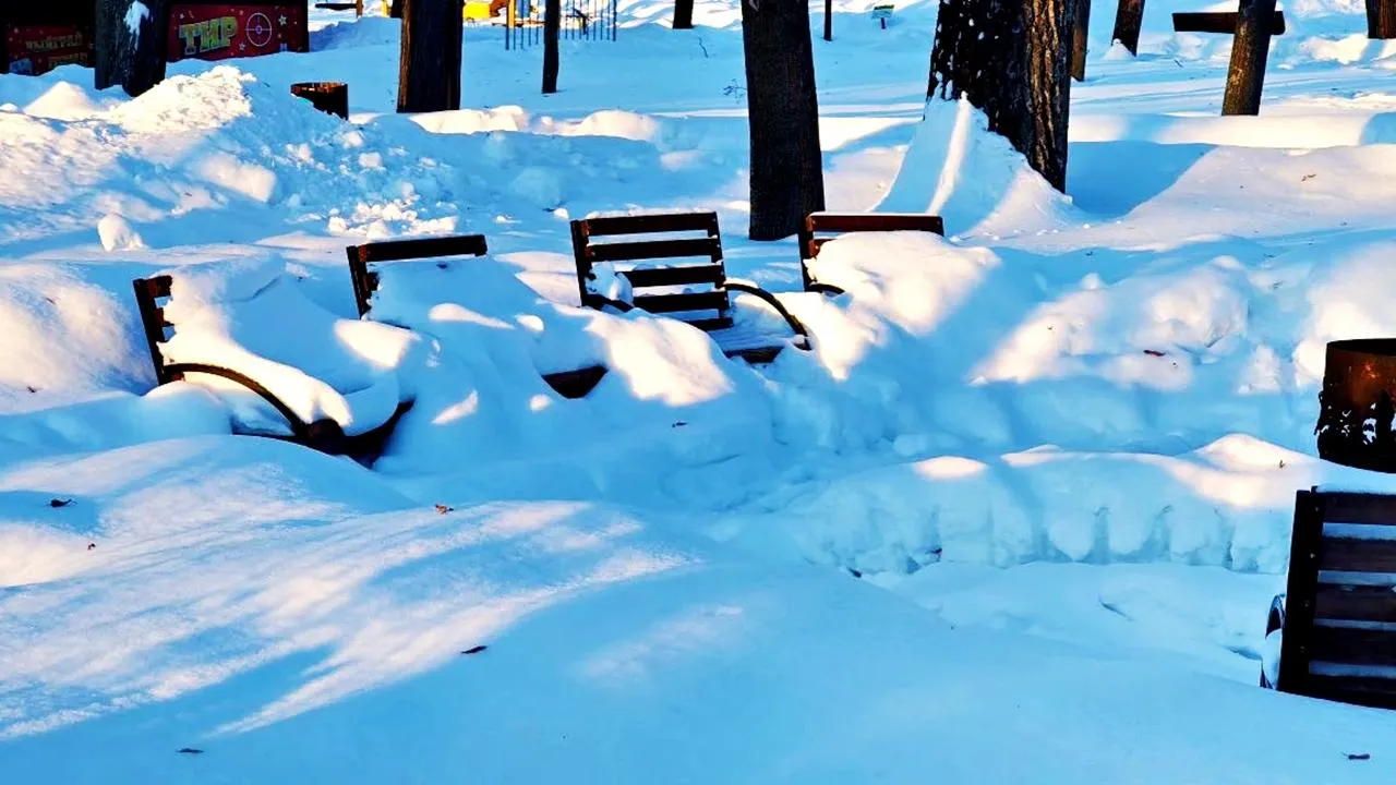 REGIONS/Алексей Селиверстов