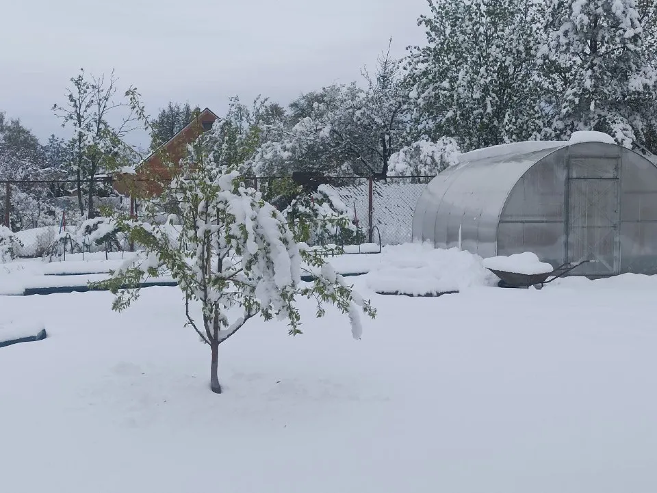 Фото: личный архив Василия Кудрявцева