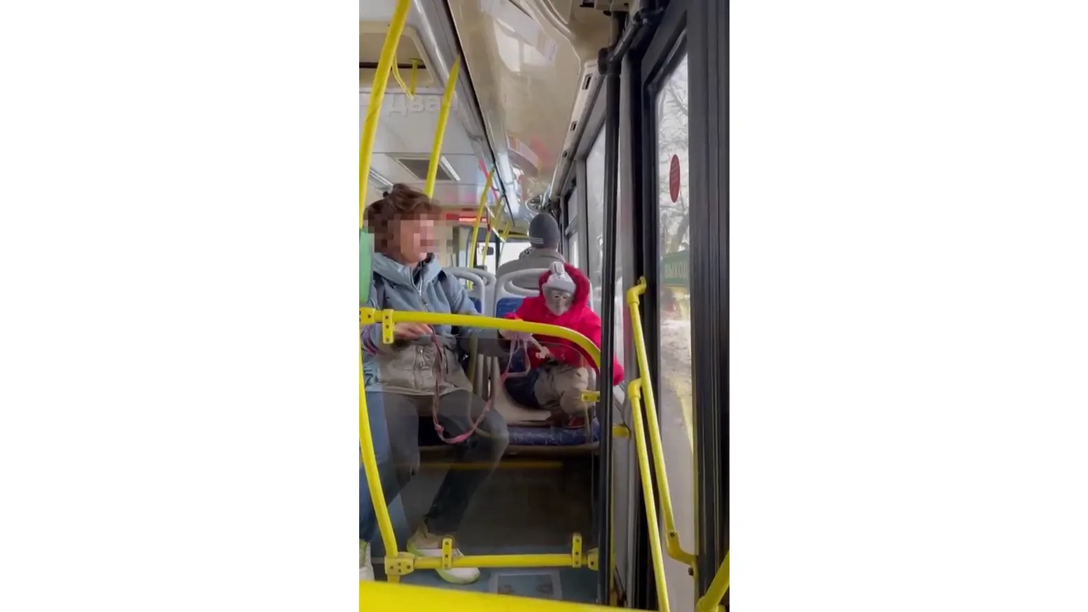 Фото: скриншот телегам-канал "Петя Первый"