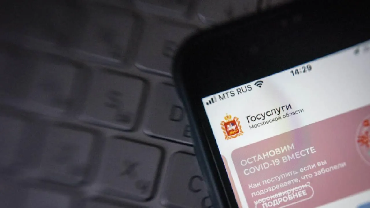 Популярными схемами мошенничества стали дипфейки и взлом «Госуслуг»