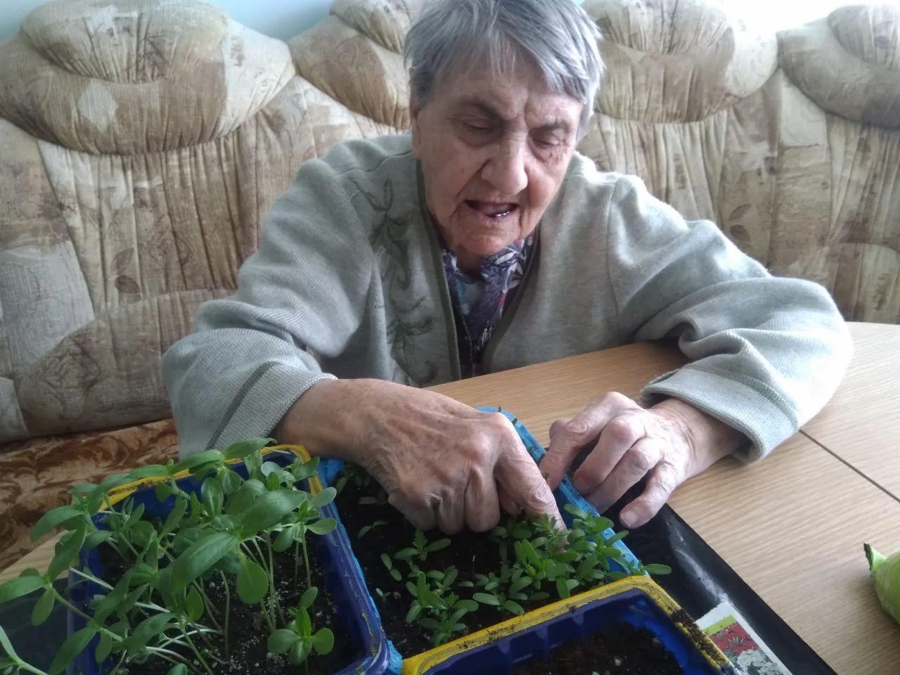 Фото: пансионат комплексного центра «Серебряно-Прудский» Зарайского округа.&nbsp;