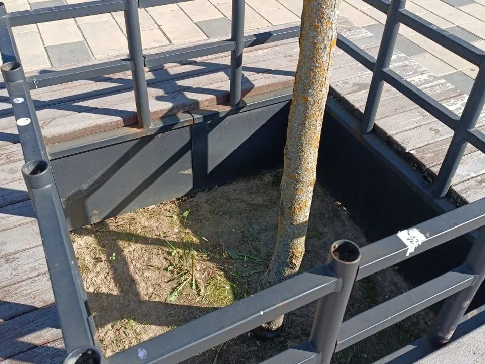 Фото:&nbsp;МБУ «Центр развития «Городское хозяйство»