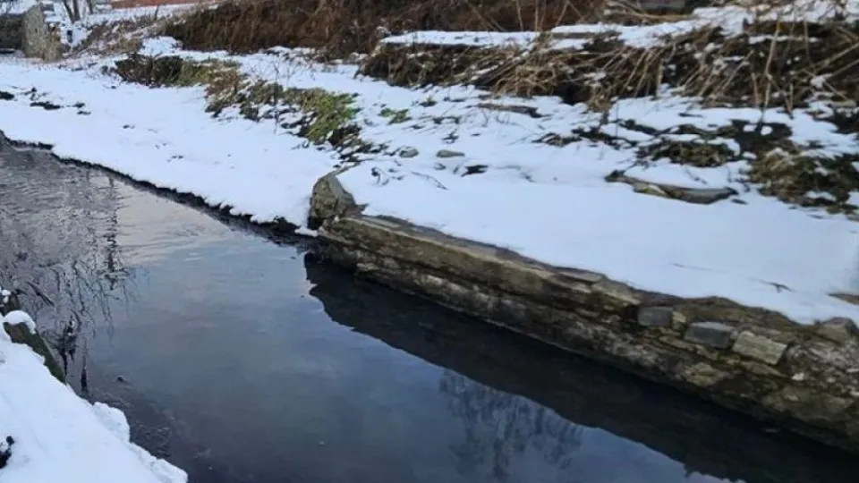 Фото: Министерство экологии и природопользования Московской области