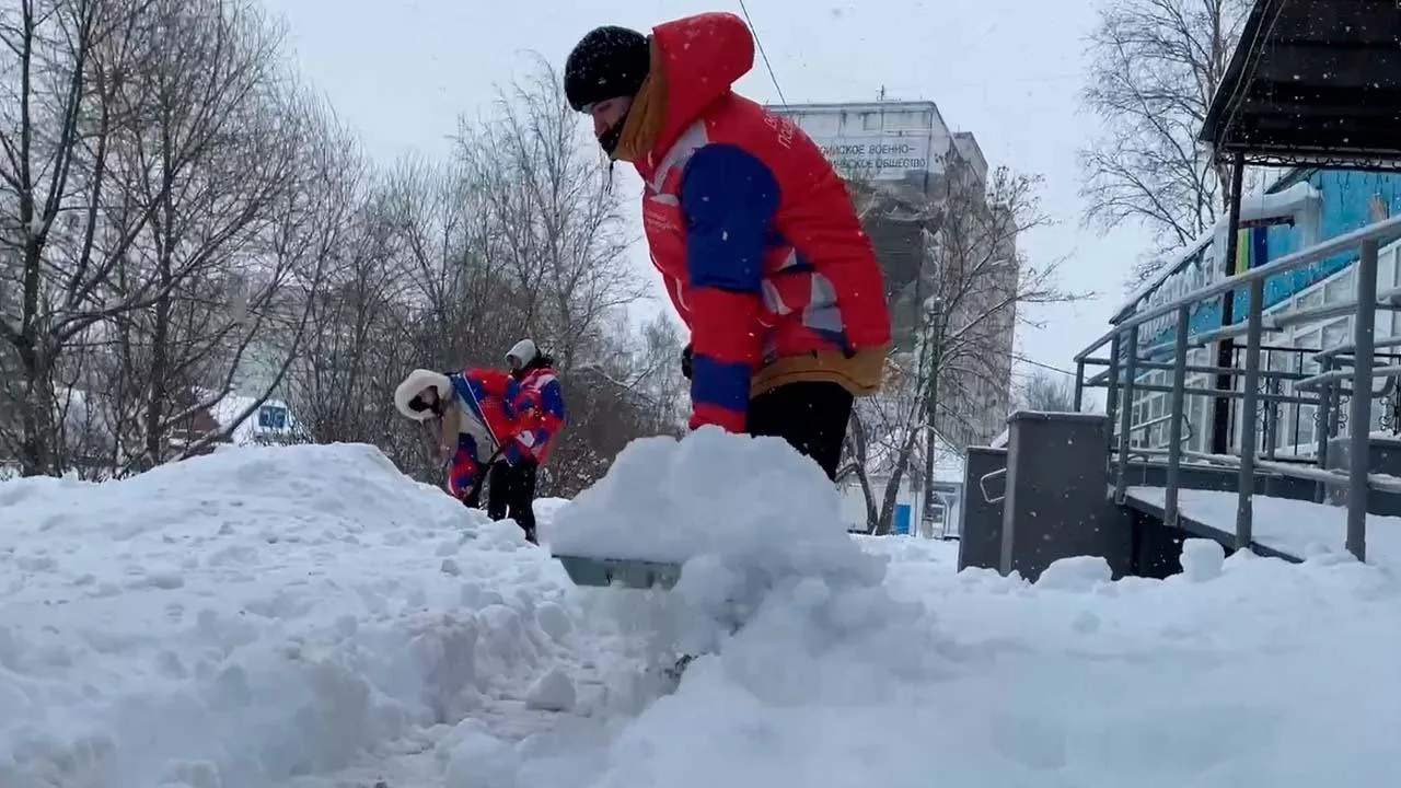 Волонтеры Подмосковья