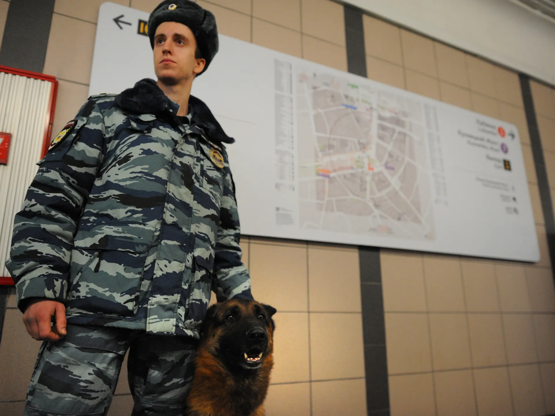 После ДТП с иномарками с четырьмя пострадавшими под Дмитровом возбудили дело