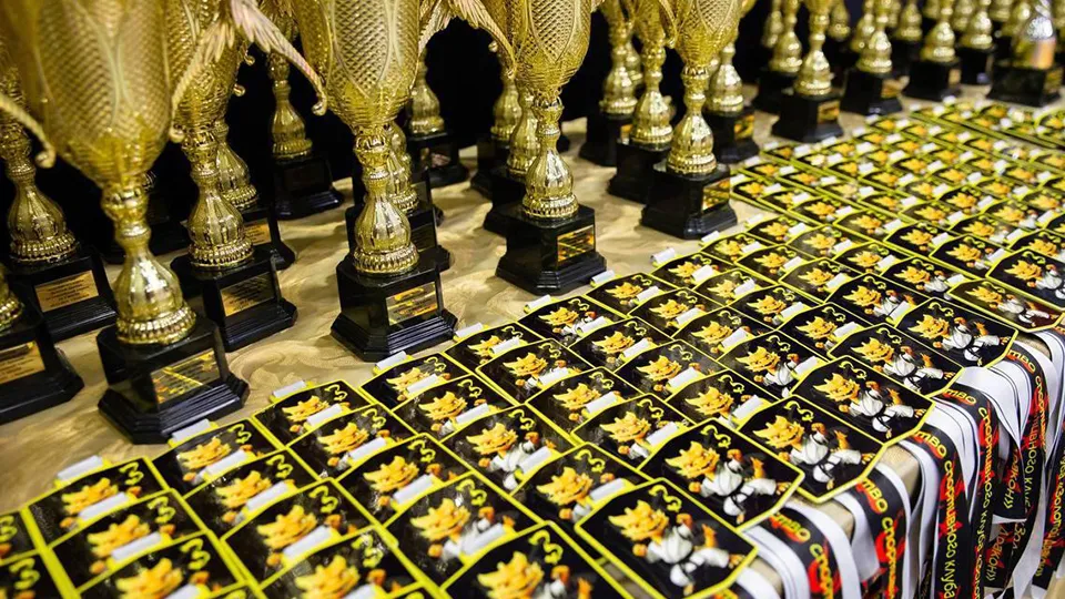 Фото: пресс-служба администрации г.о. Подольск