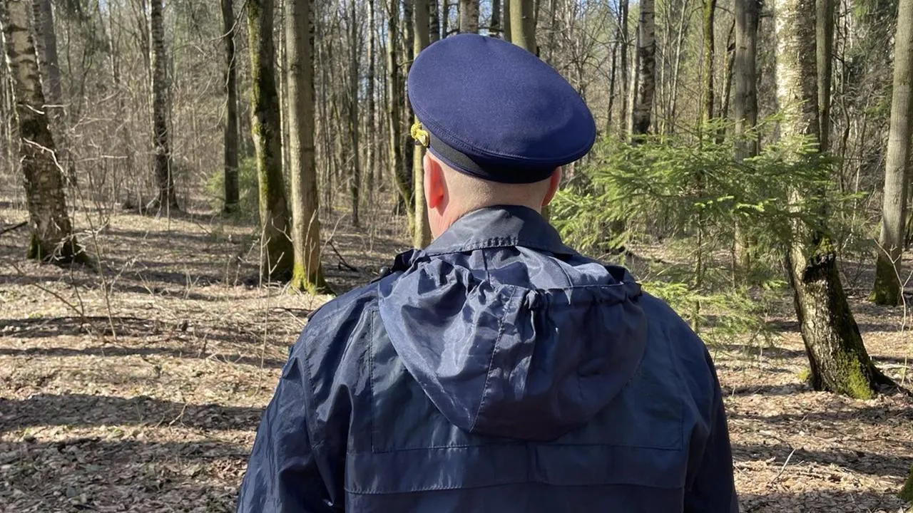 Подмосковные спасатели помогли найти в лесу мужчину, пострадавшего от нападения медведя