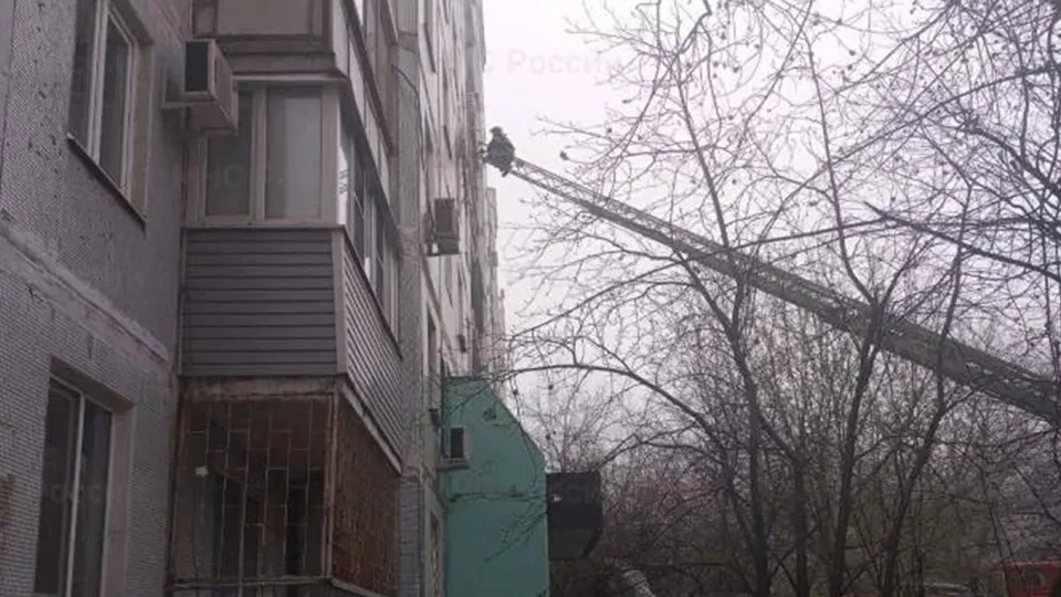 Фото: Управление МЧС России по Московской области