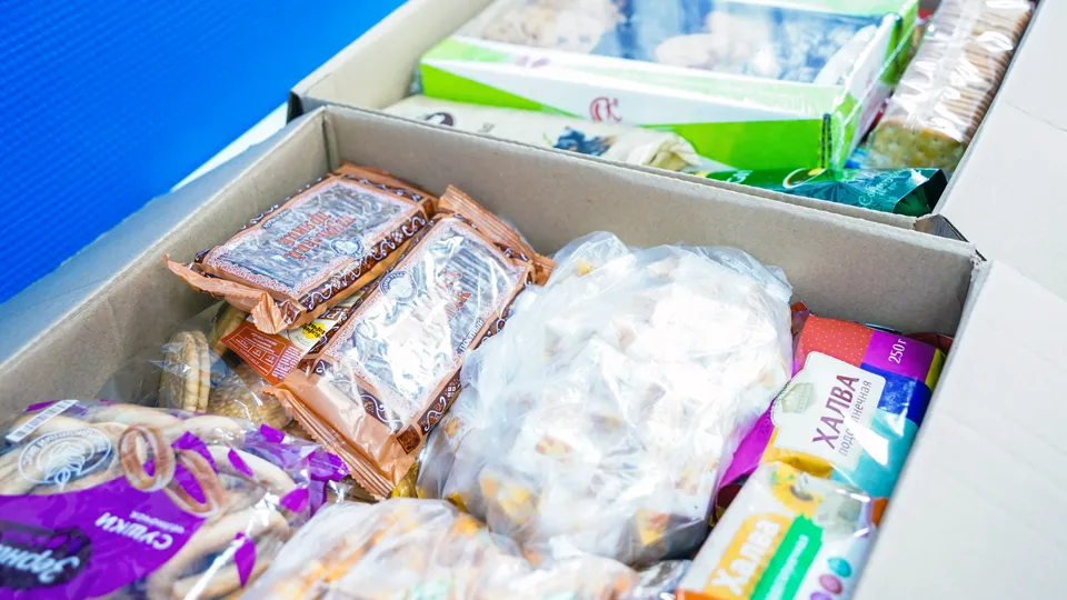 Фото: МедиаБанк Подмосковья/Анастасия Хренкова