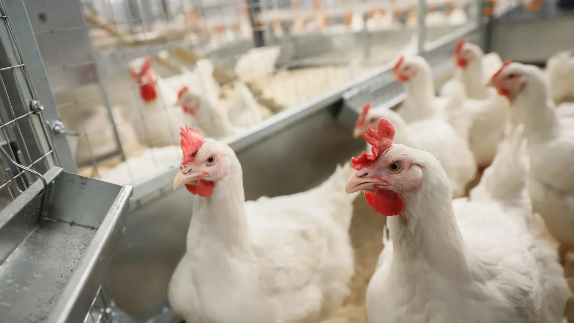 Фото: Константин Семенец