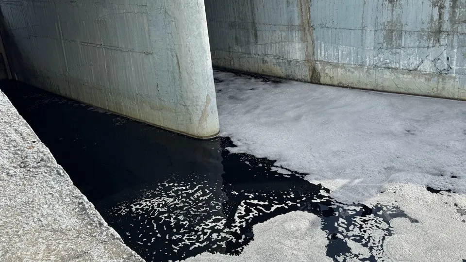 Фото: МедиаБанк Подмосковья/Виктория Фортуна