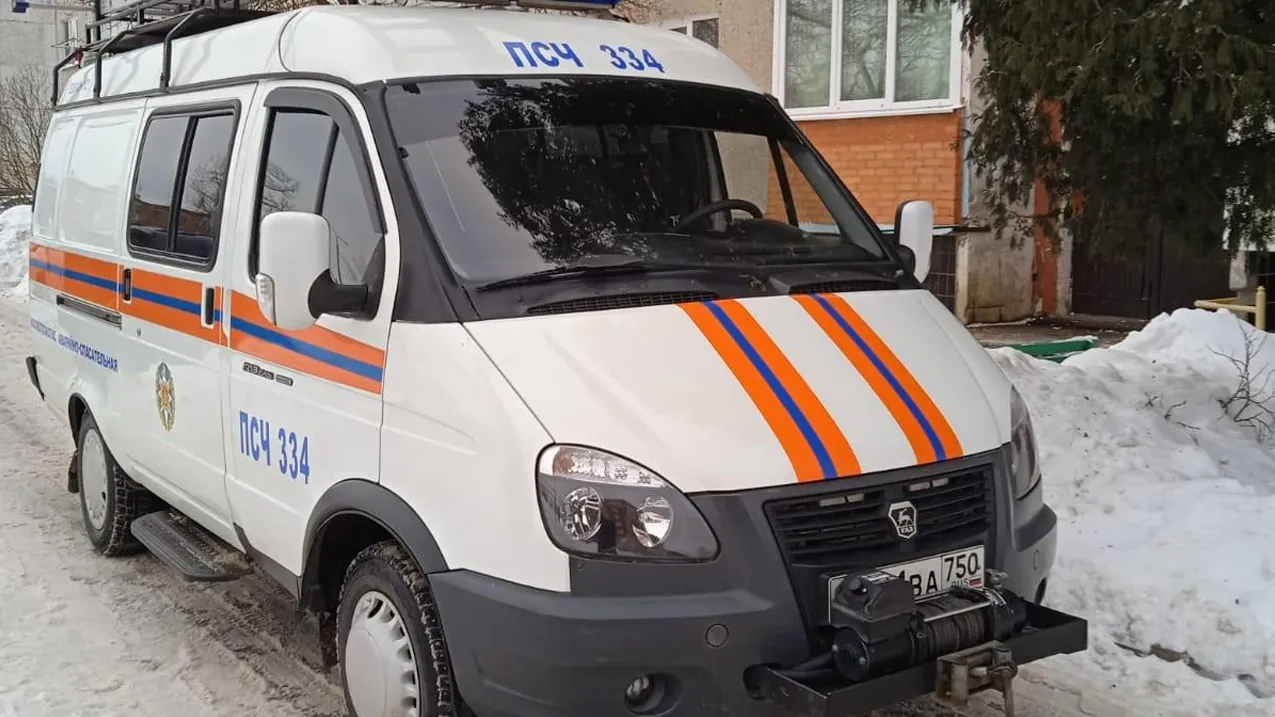 Фото: ГКУ МО «Мособлпожспас»