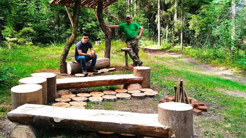 Фото: Звенигородский филиал ГКУ МО «Мособллес»