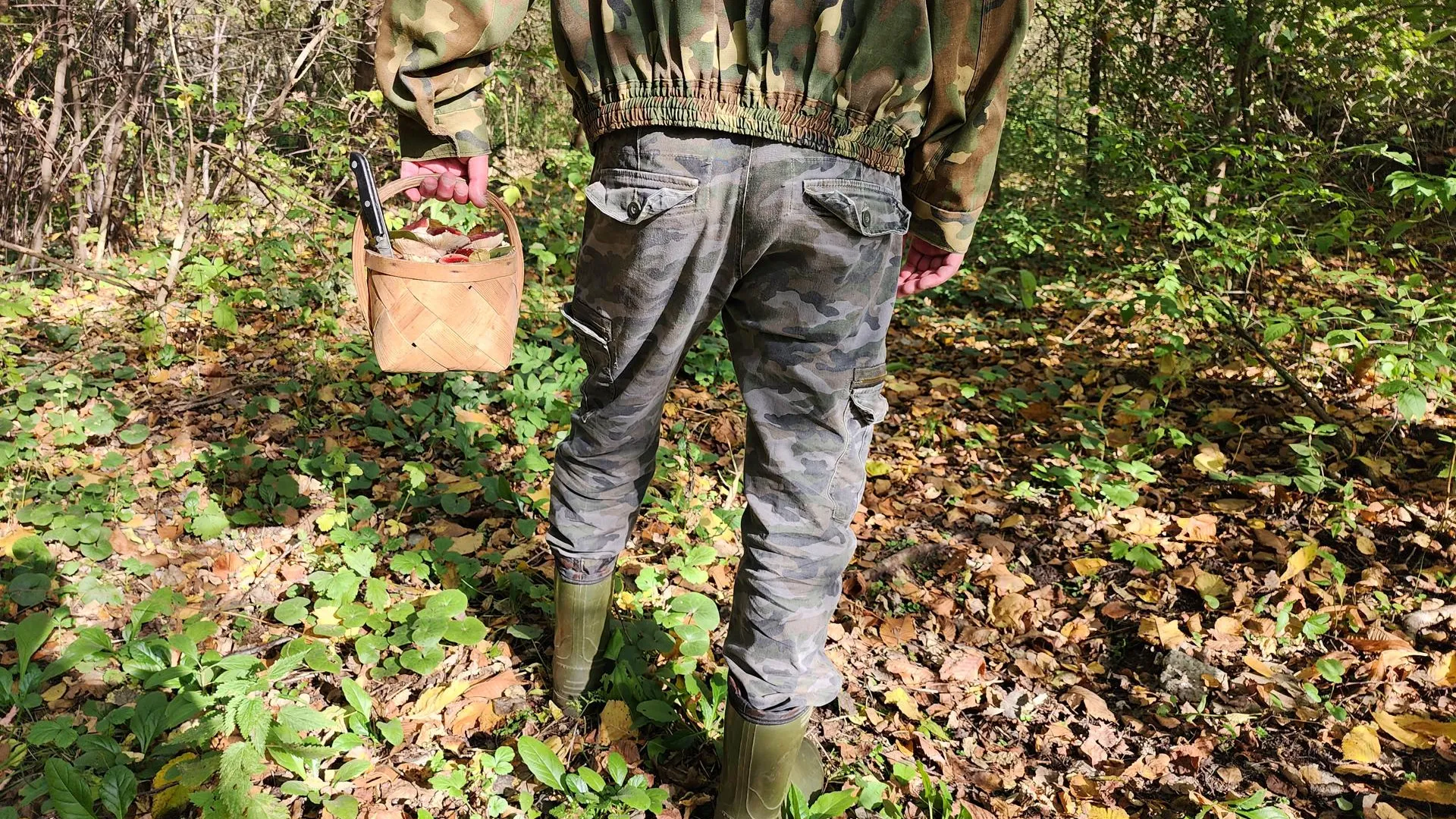 Александр Стёпушкин