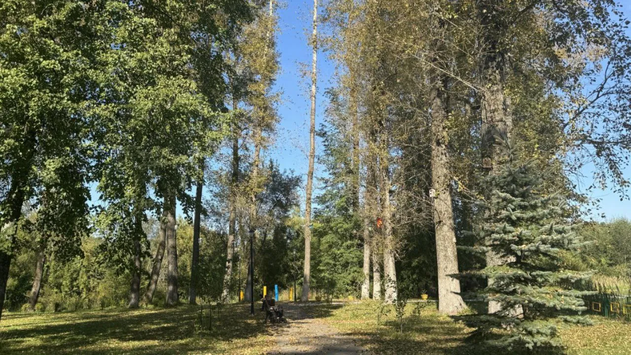 Фото: t.me/ParkVerbilki