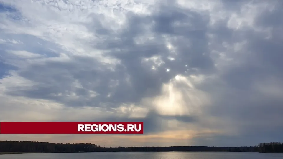 Фото: REGIONS/Александр Дрожжин