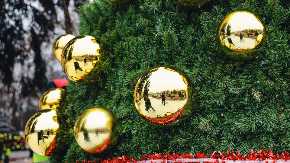 Фото: пресс-служба администрации г.о. Химки