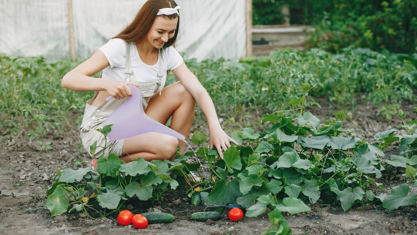 Фото: freepik.com