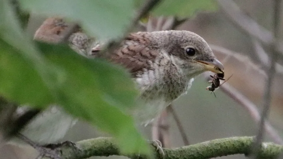 Фото: Ольга Калинина