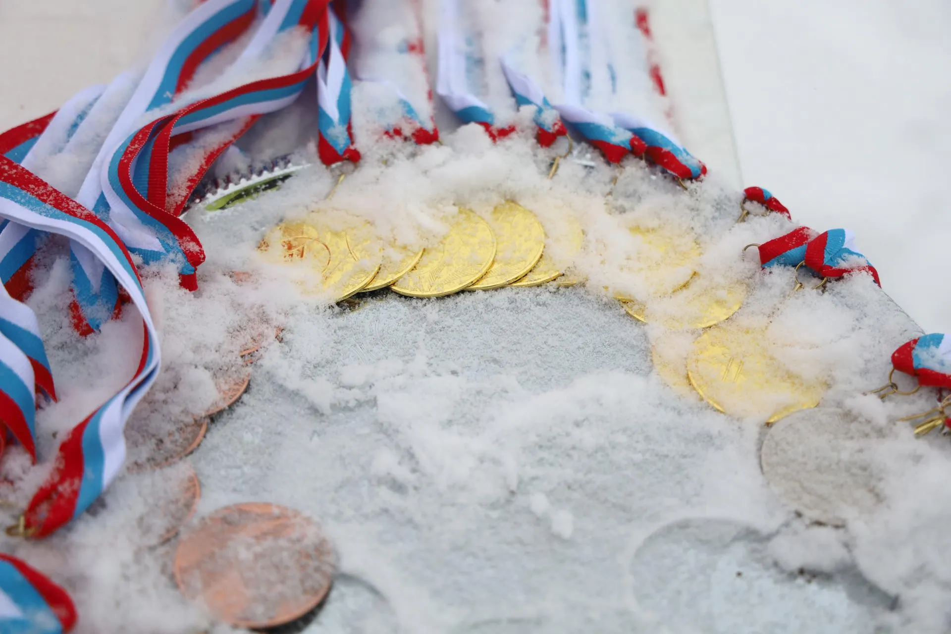 Фото Ольга Пятикрестовская.