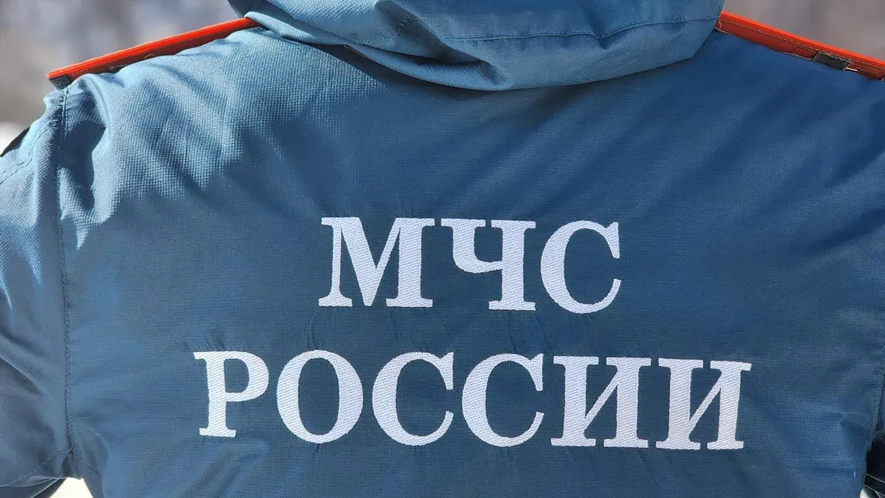 МедиаБанк Подмосковья/Роман Савельев