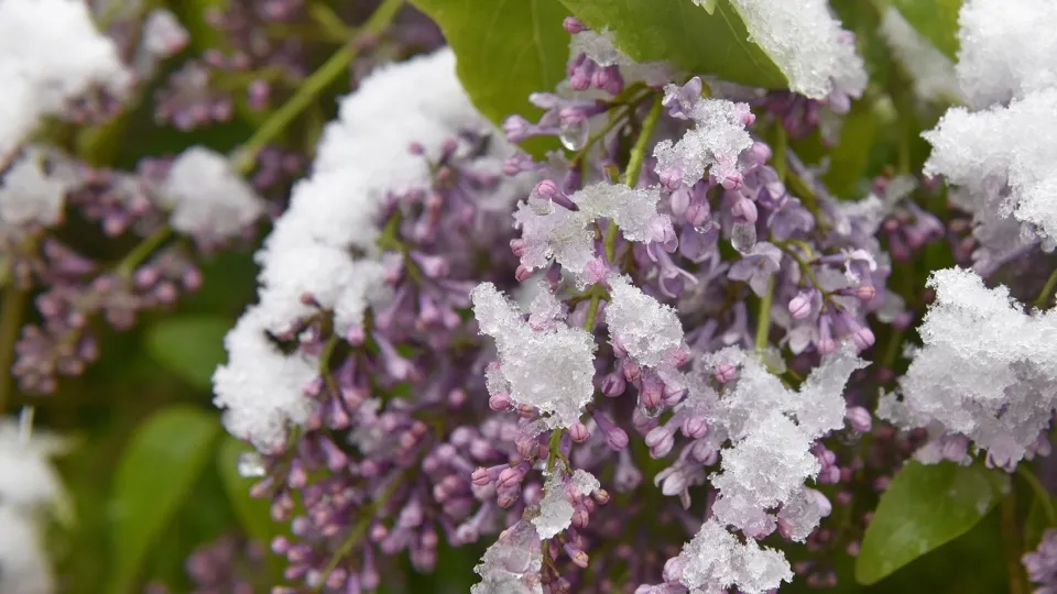 Фото: РИА Новости/Александр Полегенько