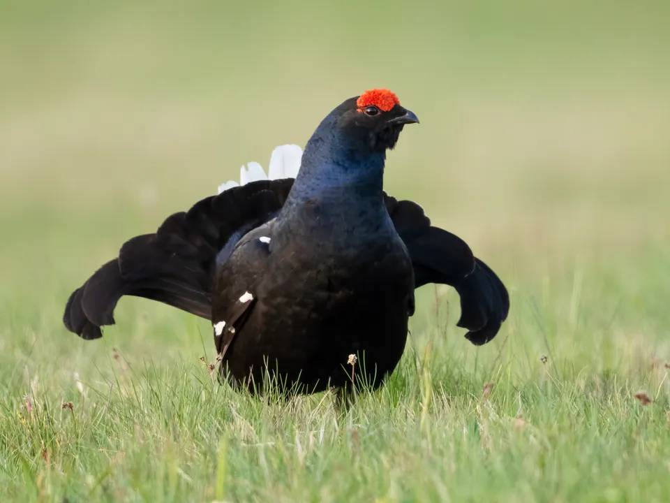 Фото: freepik.com