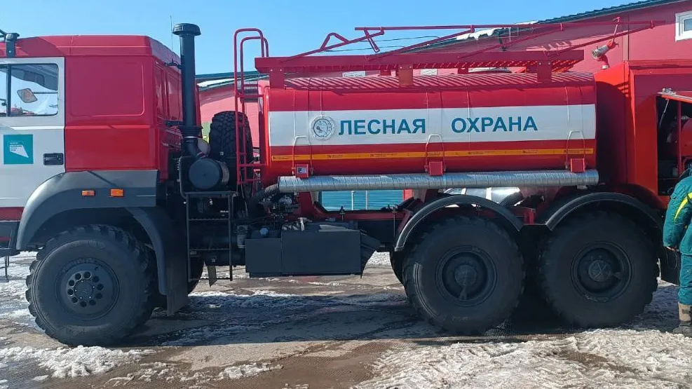 Фото: пресс-служба Комитета лесного хозяйства Московской области