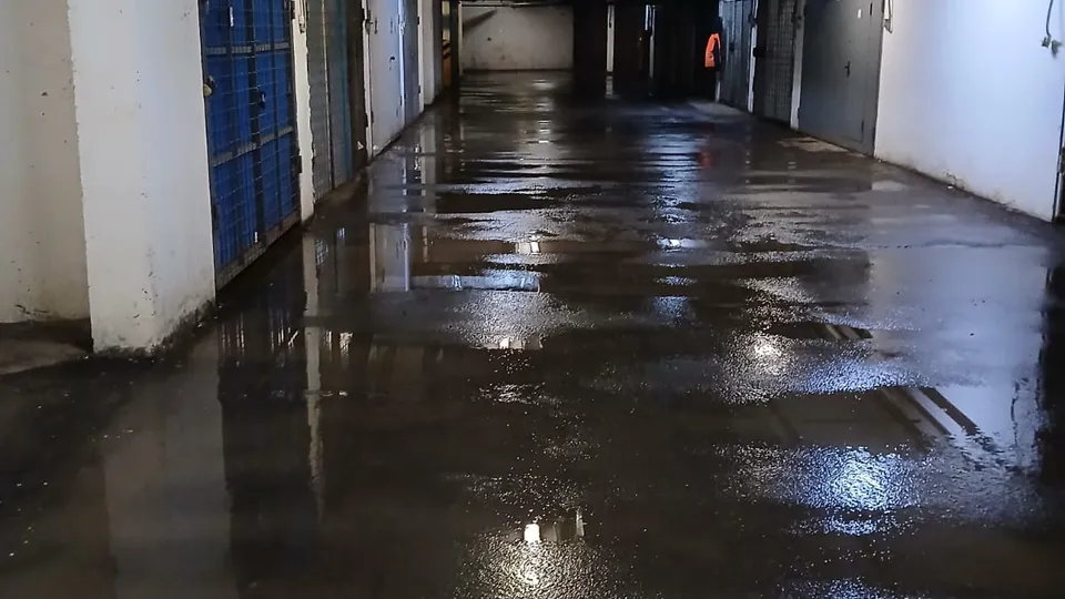 Фото: пресс-служба администрации г.о.Котельники