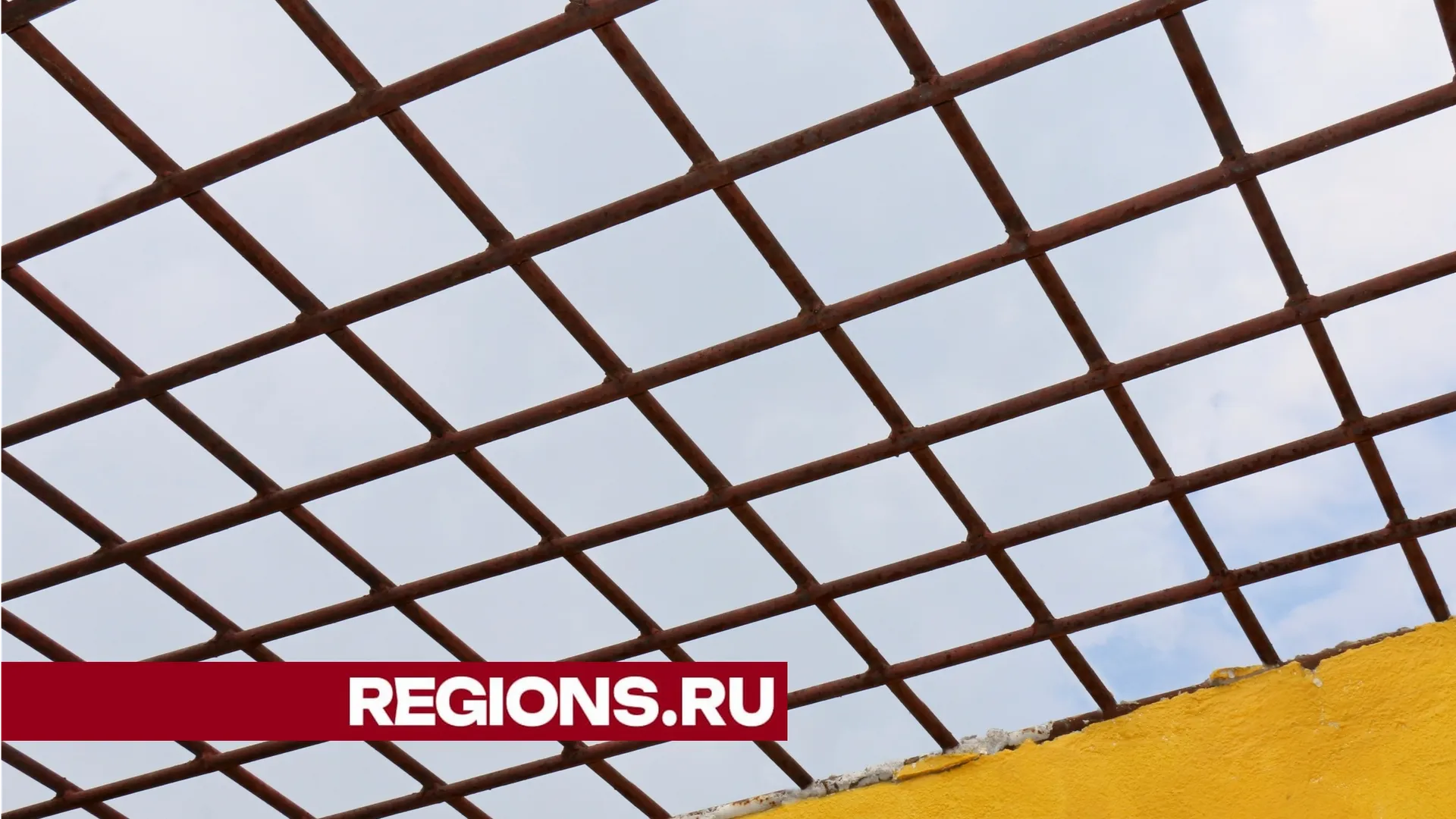 Фото Александра Дрожжина