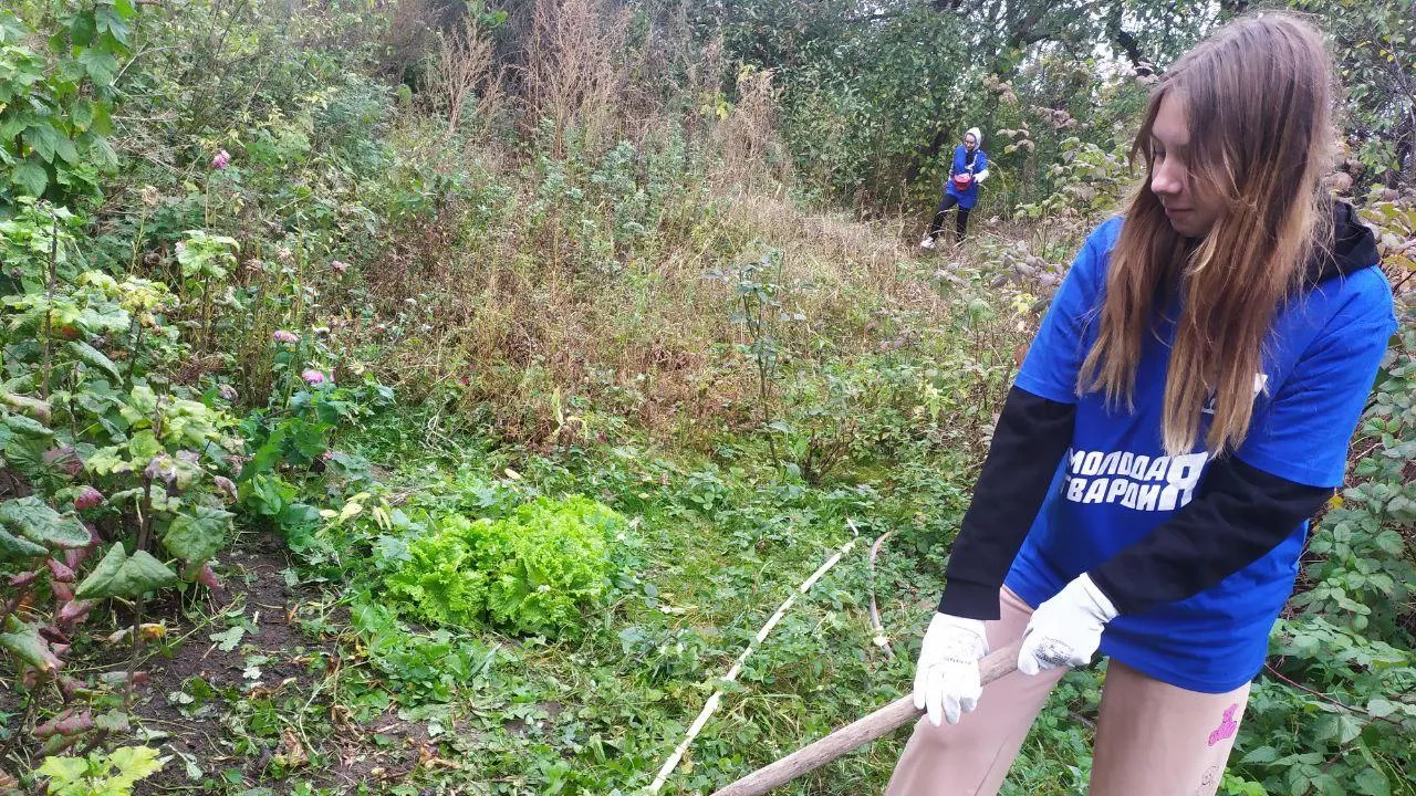 Фото: Единая Россия. Воскресенск