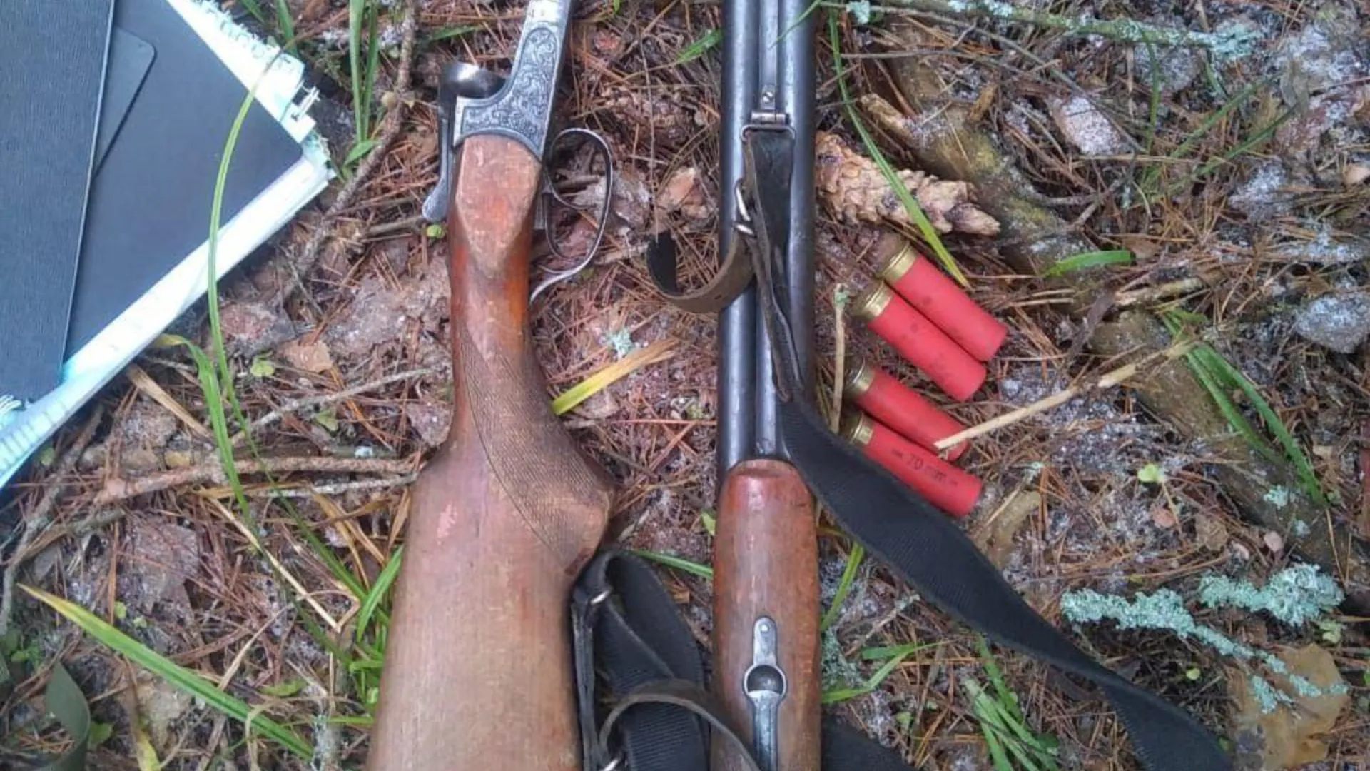 Фото: Министерство экологии и природопользования Московской области