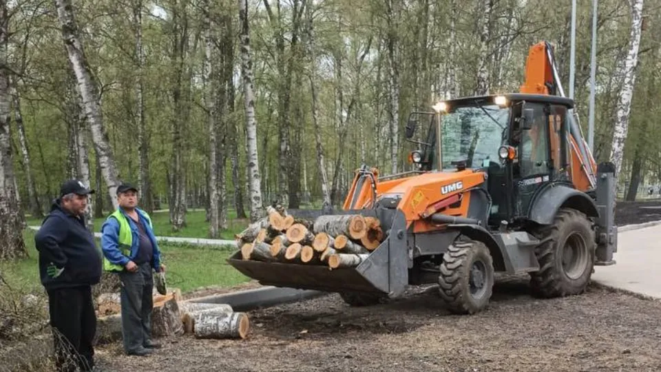 Фото: пресс-служба администрации г.о. Лобня