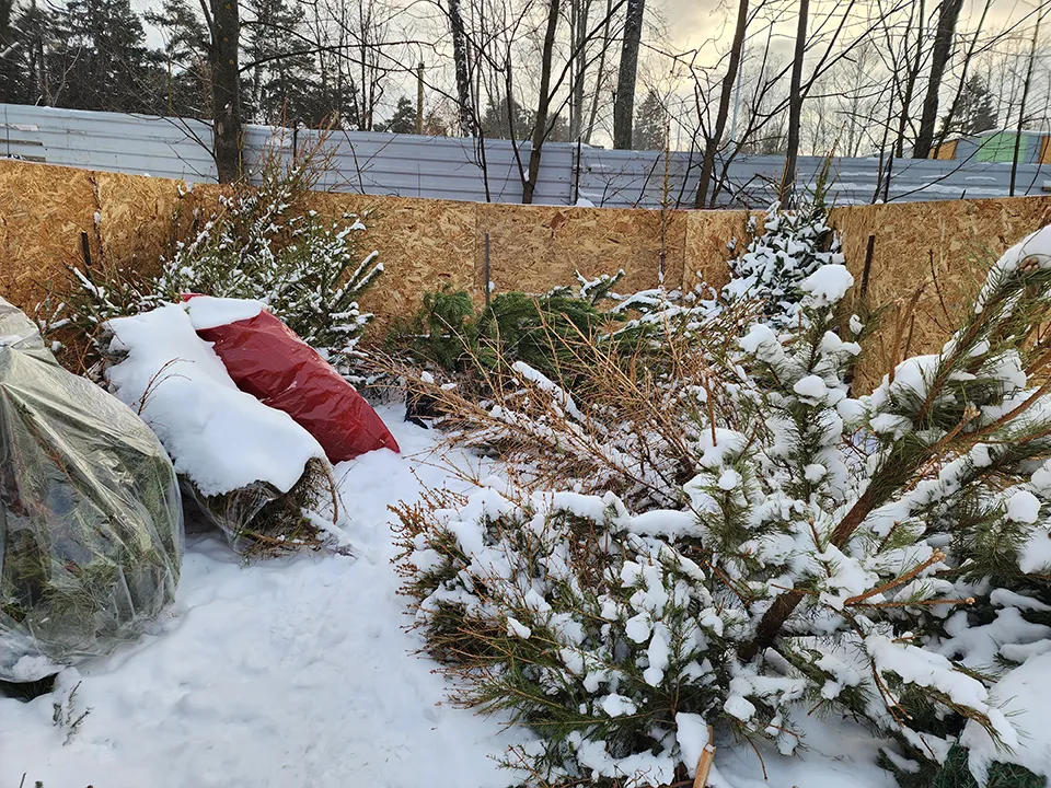 Фото: МедиаБанк Подмосковья/Роман Савельев