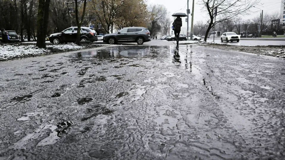 Фото: МедиаБанк Подмосковья/Роман Малышенко