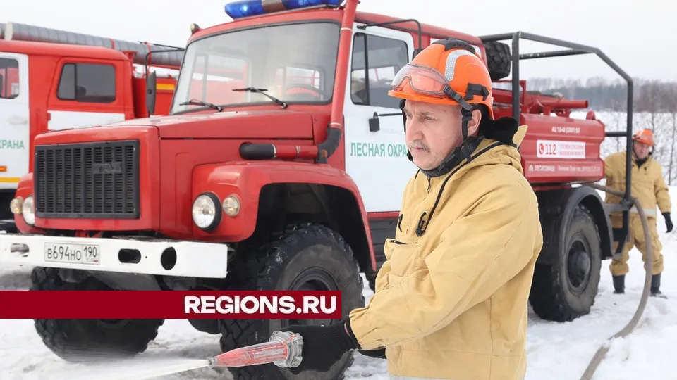 Фото: REGIONS/Александр Дрожжин