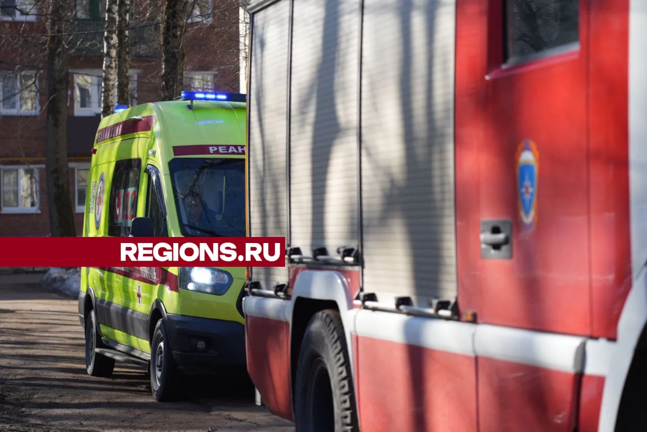 Фото: Дмитрий Зайчиков