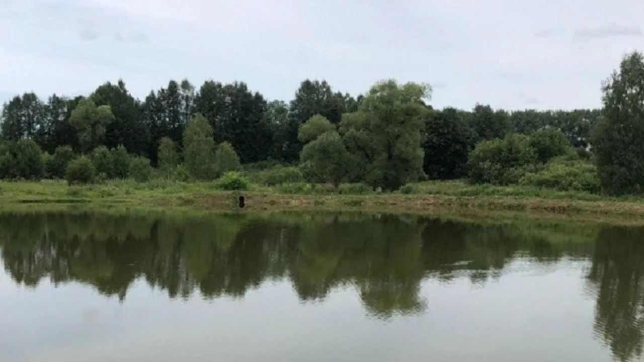 Пруд в деревне Елино в Солнечногорске очистили в рамках областной программы