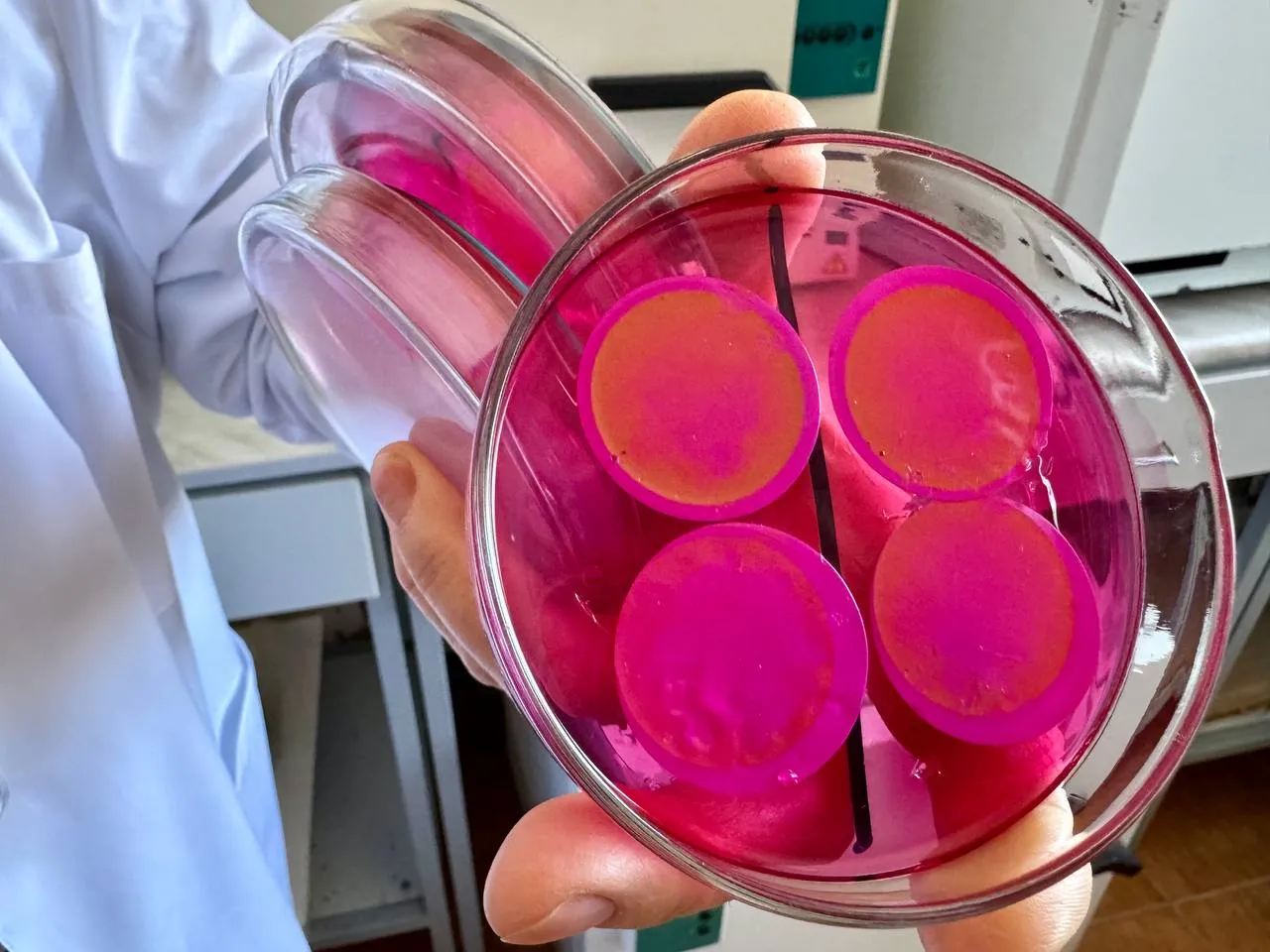 Фото: пресс-служба администрации г.о. Можайск