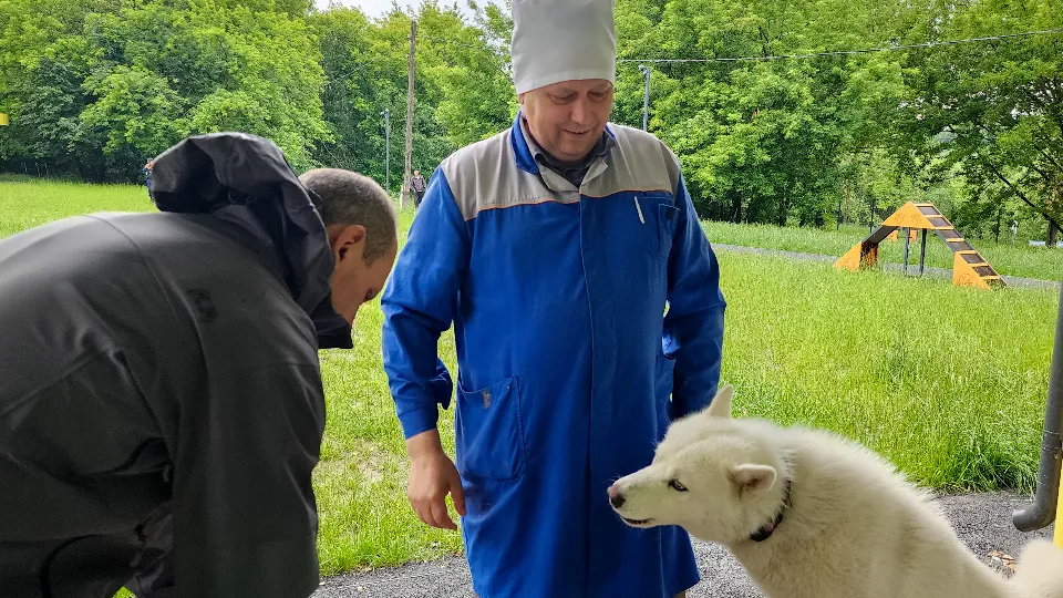Фото: МедиаБанк Подмосковья/Мария Андрюхина