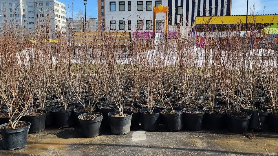 Фото: Ксения Пашуто