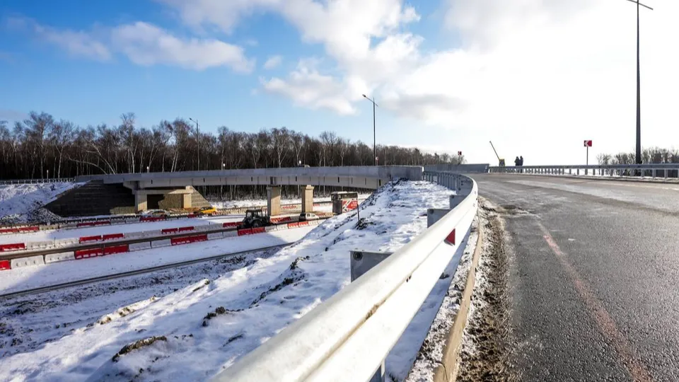 Фото: пресс-служба губернатора и правительства Московской области