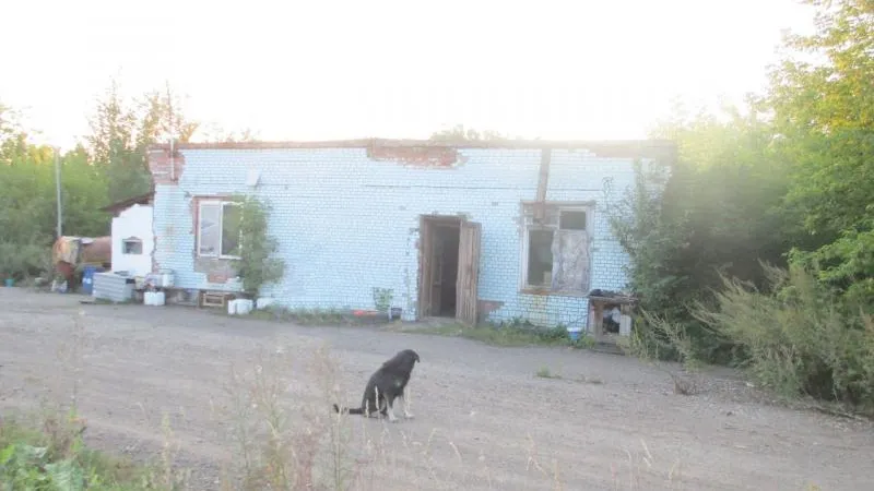 vse42.ru