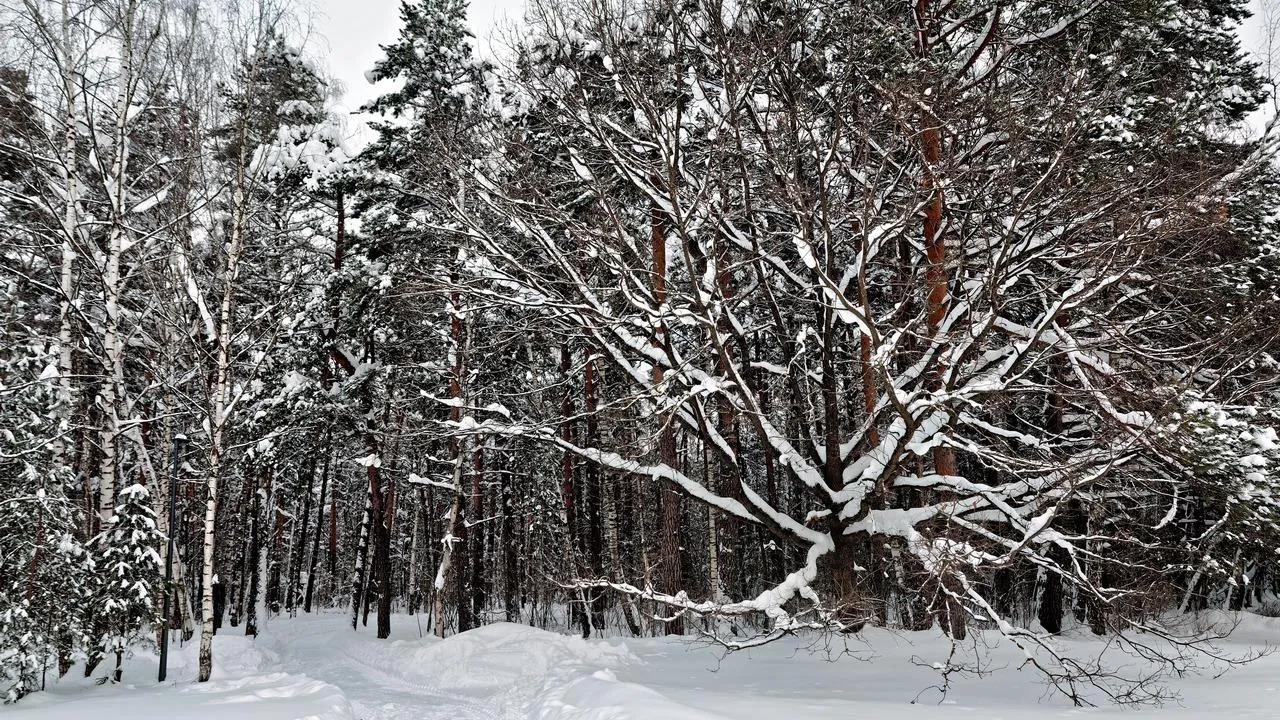 медиасток.рф