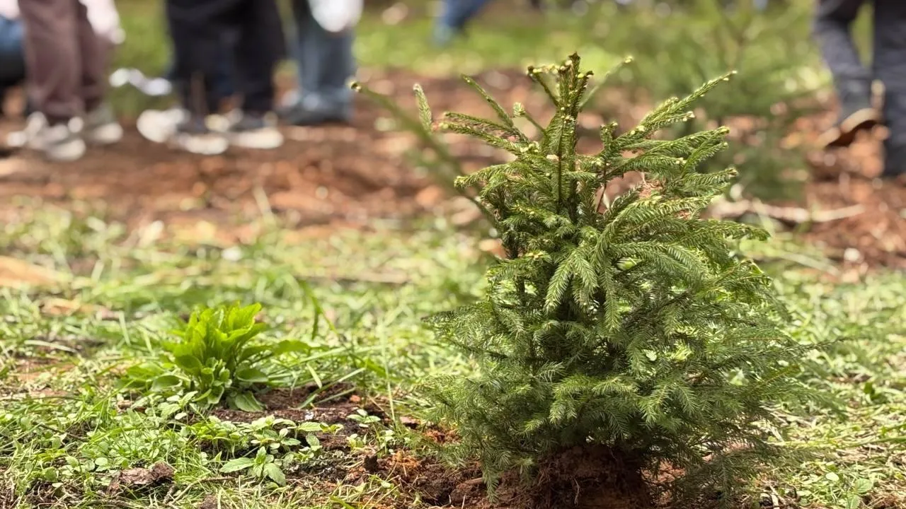 Фото: пресс-служба администрации г.о. Дубна