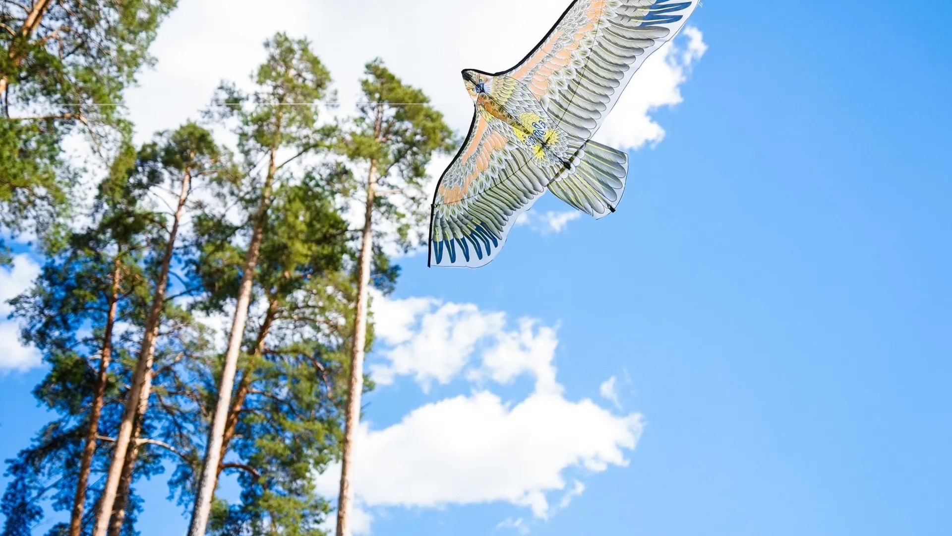 Фото: пресс-служба администрации округа