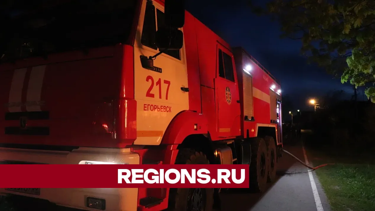 Фото: Василий Тремасов