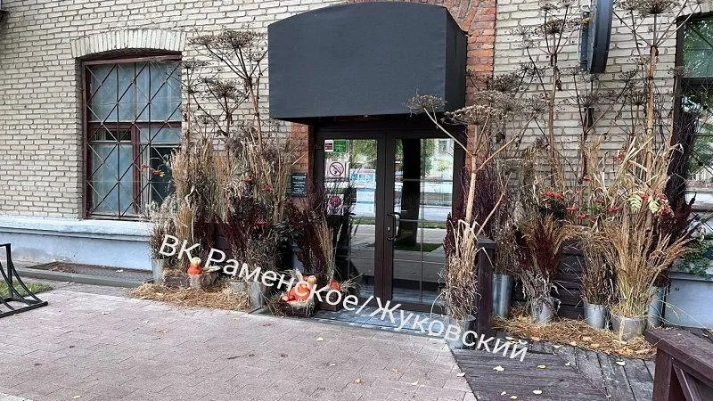 Сотрудники кафе в Жуковском украсили вход опасным борщевиком