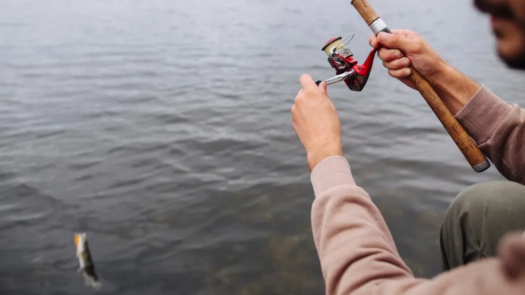 Источник: ru.freepik.com