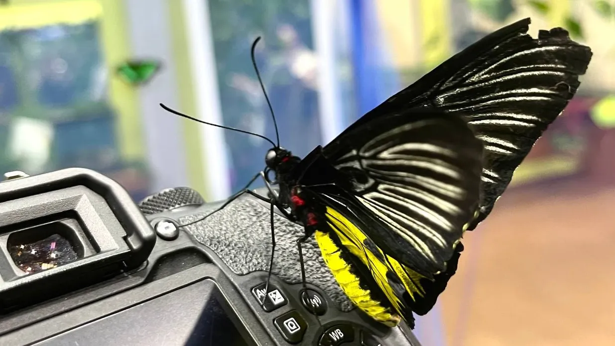 Фото: Филиал «На Большевистской» Центрального Дворца культуры «Созвездие»/ВКонтакте.